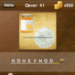 Level Clever 41 Honey moon