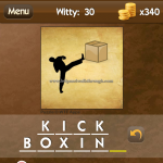 Level Witty 30 Kick boxing