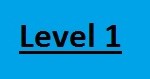 Level 1