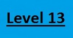 Level 13