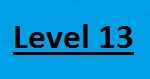 Level 13