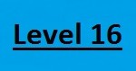 Level 16