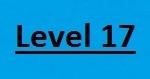 Level 17