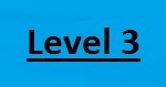 Level 3