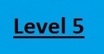 Level 5