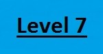 Level 7