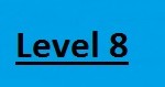 Level 8